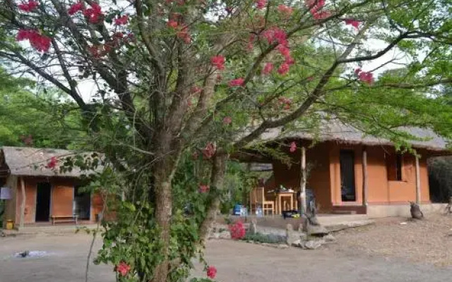 JD's Eco Bungalow