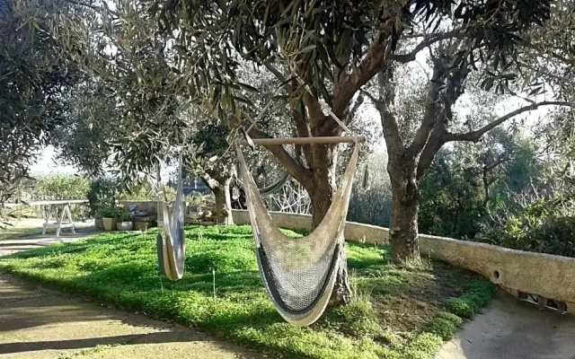 B&B Coldulivo