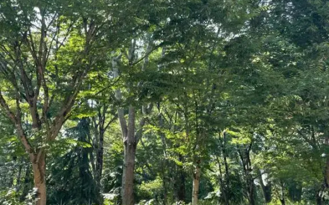 La Villa Bocage