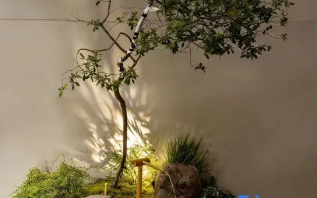 Xianju Moye · Courtyard Leisure Vacation Homestay
