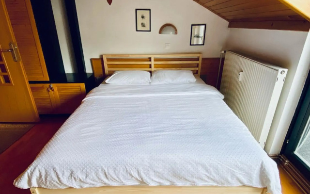 Snežinka 1