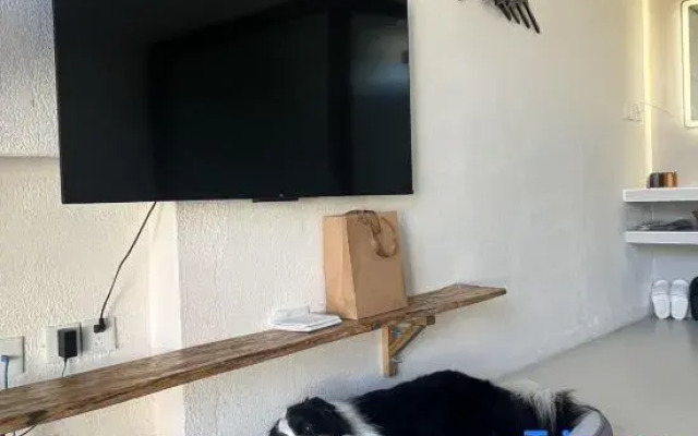 Nature in Nature Pet-friendly Courtyard (Zhangshanying)