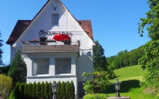 Wohnung in Bad Pyrmont mit Grillterrasse