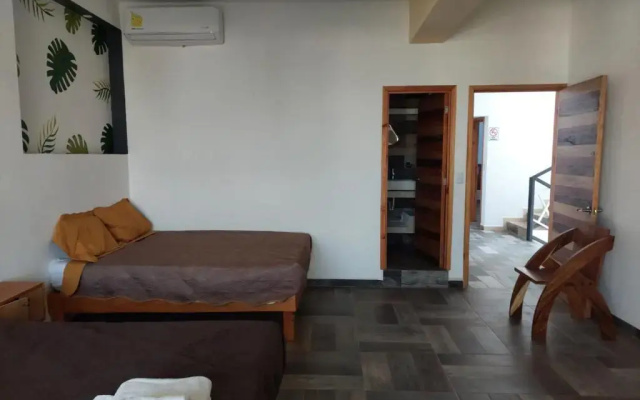 Hotel Axolotl
