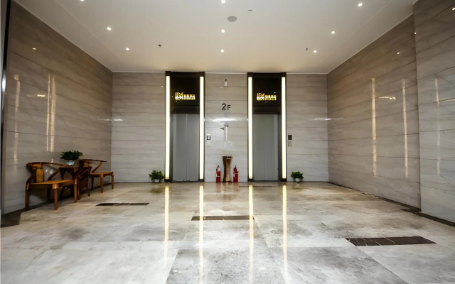 Borrman Hotel Xinxiang Muye Avenue