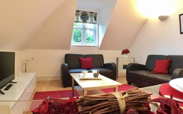 Luxurious Wessex Apartment