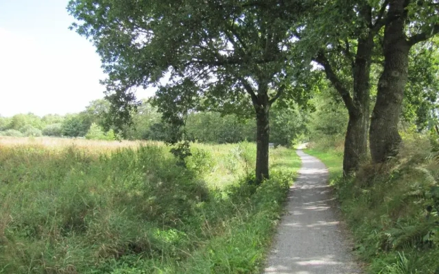 Het Swadde huisje