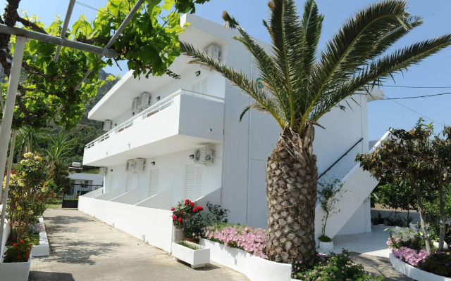 Spring Studios