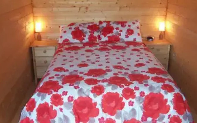 The Cabin with the View (Adults Only)