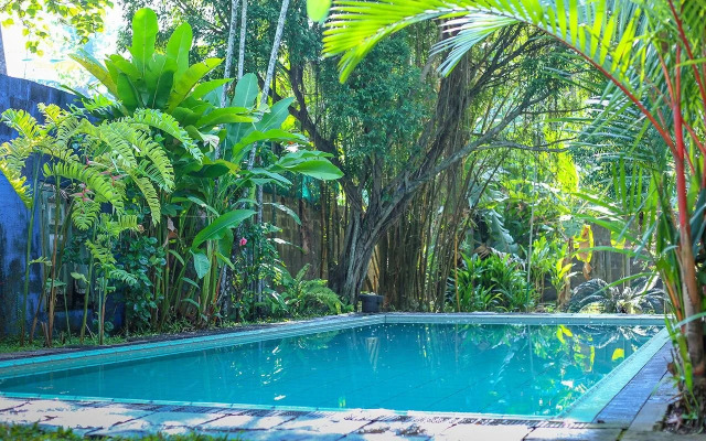 The Fern Cove Villa