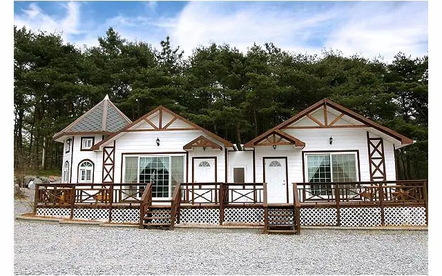 Sun flower pension