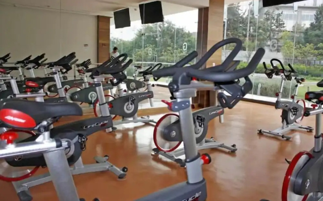 Super Suite Pool & Gym Polanco Area
