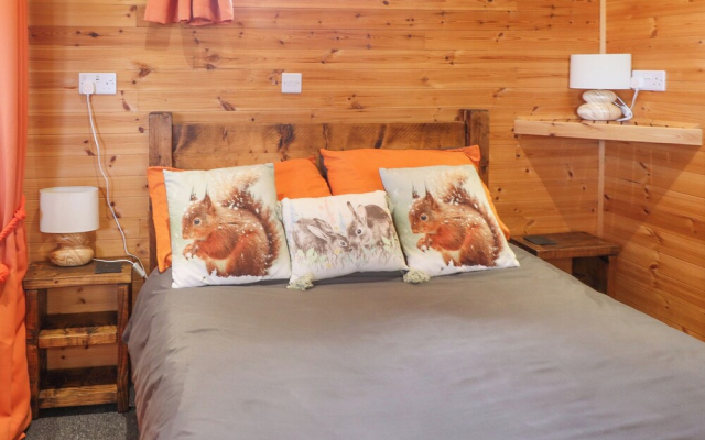 The Cabin