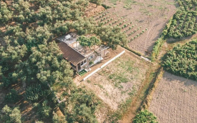 The Mills House