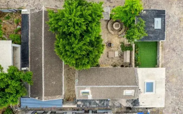 Two Ginkgo Trees · Old House Courtyard Homestay (Tianjin Jizhou Xijingyu)