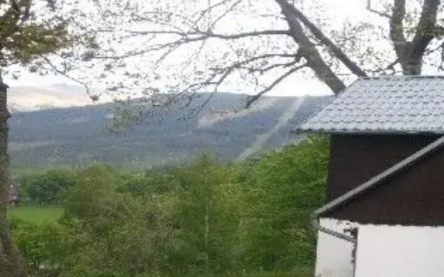 Chatka Ali i Tadka