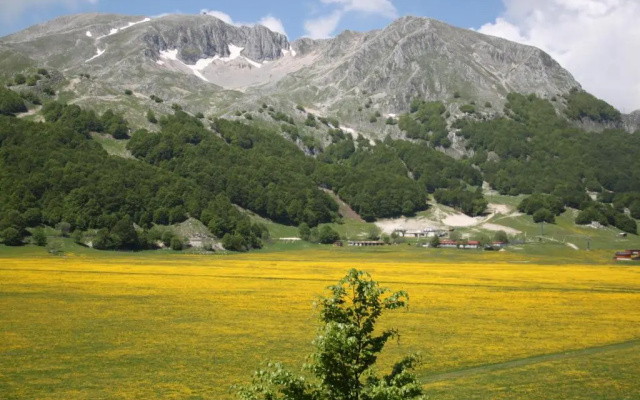 La Pinetina