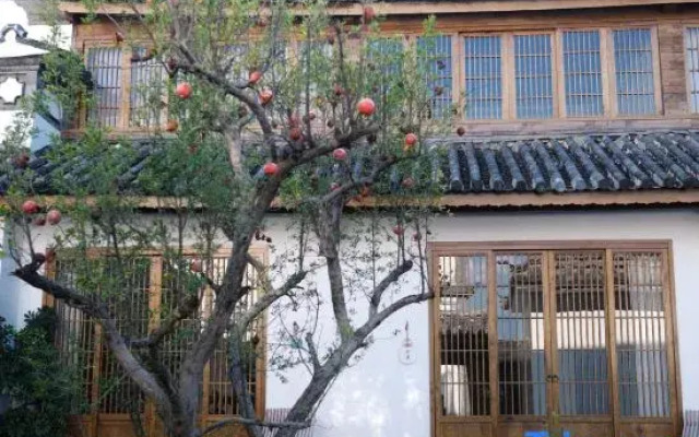 Dali Quiet Silent Designer Courtyard