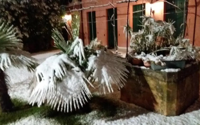 Dreon B&B and Apartments