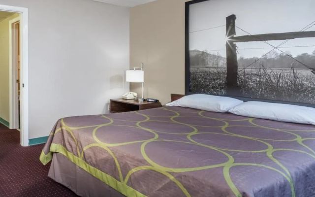 Super 8 by Wyndham Sevierville Riverside
