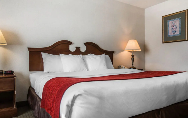 Comfort Inn & Suites East Greenbush - Albany