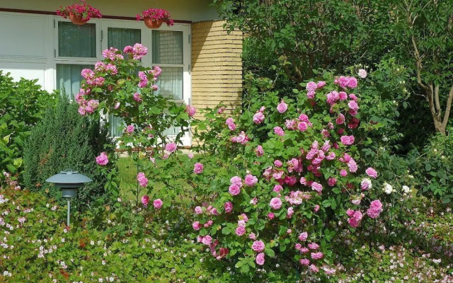 Rose-House Hillerød