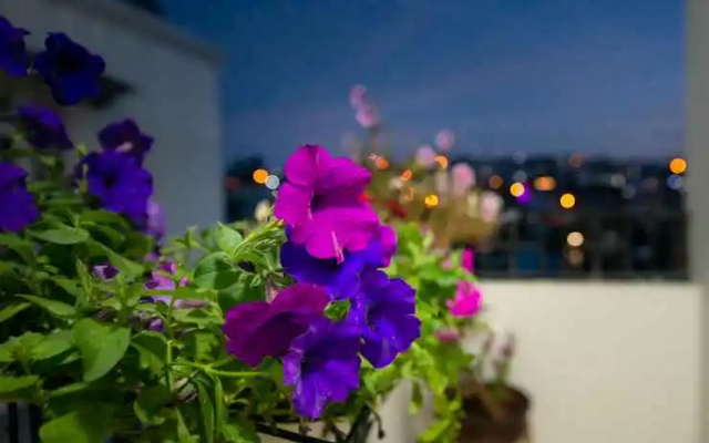 Bianco Hotel Dalat
