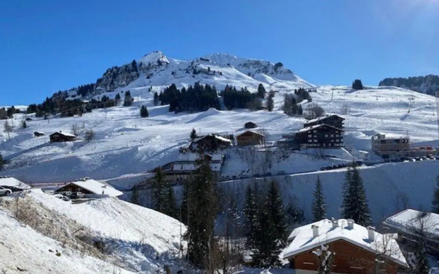 Appartement Le Grand-Bornand, 3 pièces, 6 personnes - FR-1-458-112