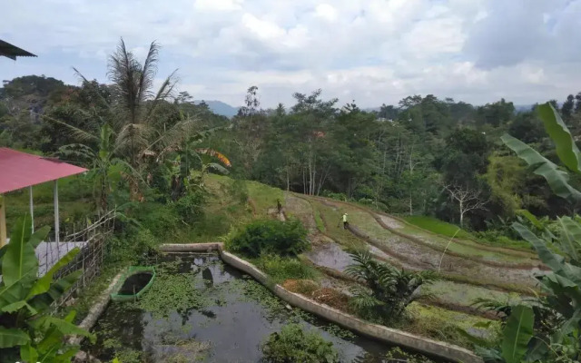 Rumah Sakinah