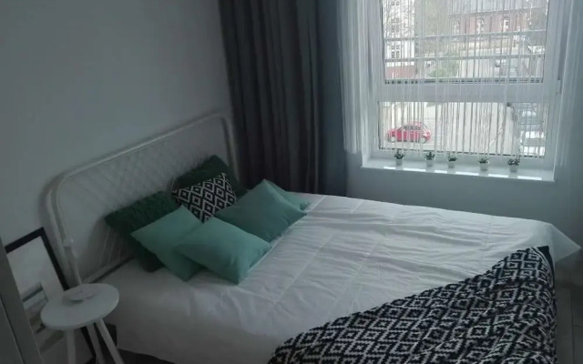 Penguin Apartments City Center Dmowskiego