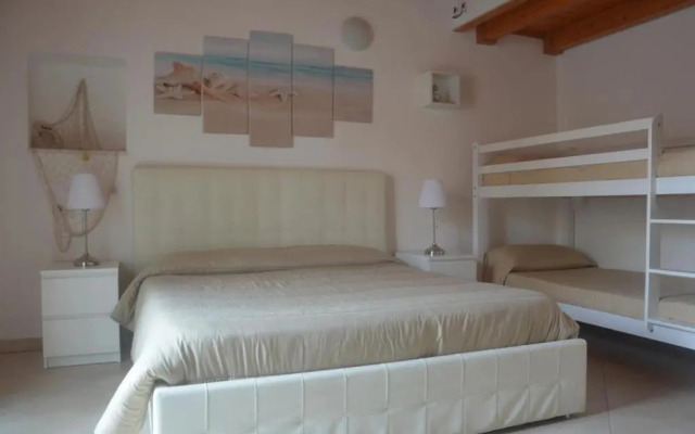 B&B Venus