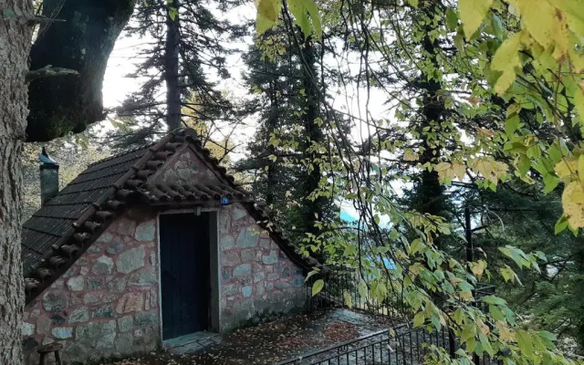 Forest House