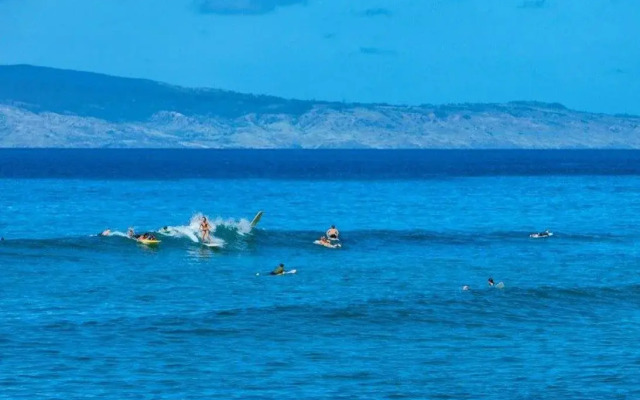 Mahina Surf