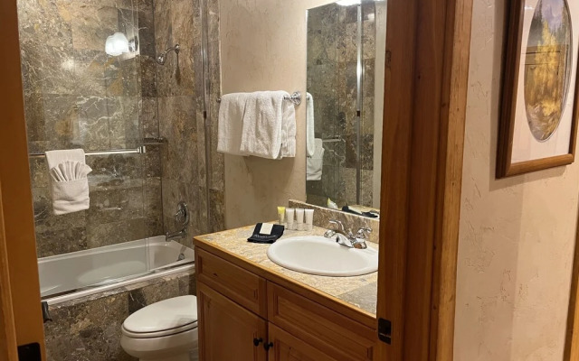 Bear Creek Lodge 107a 1 Bedroom Condo by Alpine Lodging Telluride