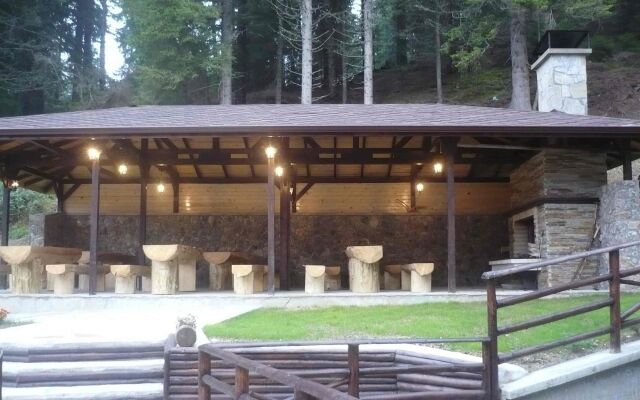 Отель Stream Resort Болгария, Пампорово - отзывы, цены и фото номеров - забронировать отель Stream Resort онлайн вид на фасад