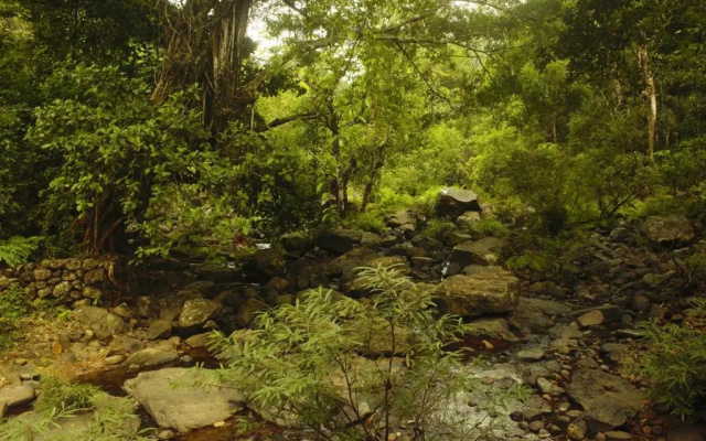 Thondar Homestays