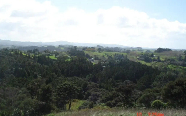 Nancys Garden