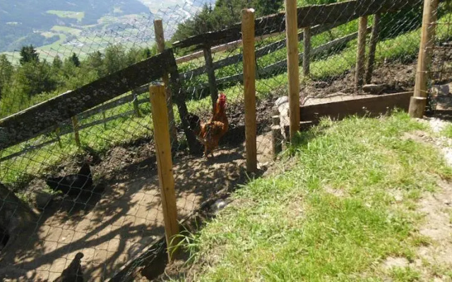 Klotzhof