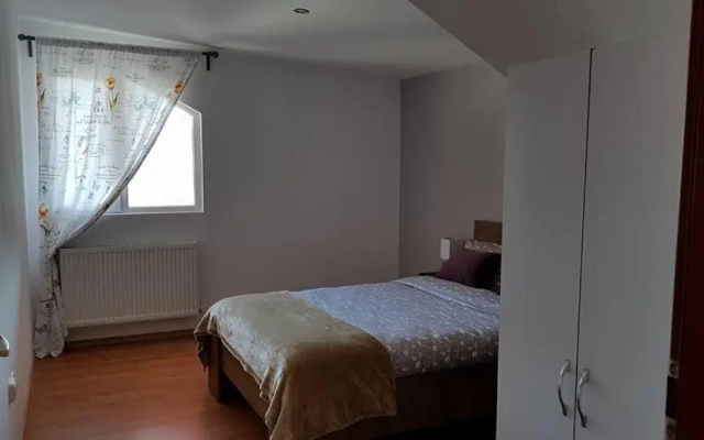 Prahova Valley Apartment