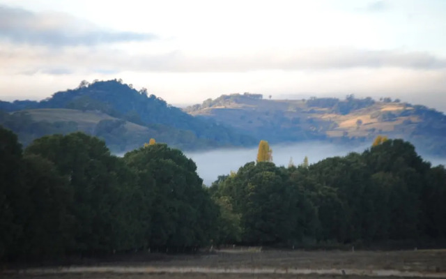 Waterloo Country Accommodation