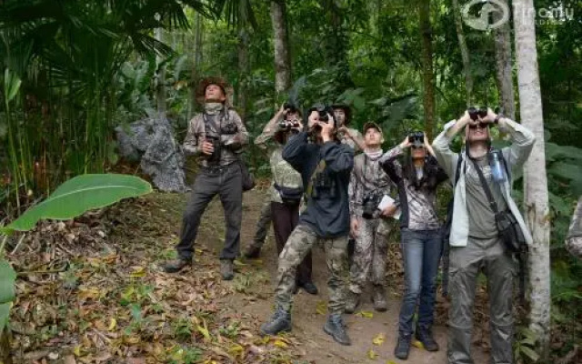 Tinamu Birding