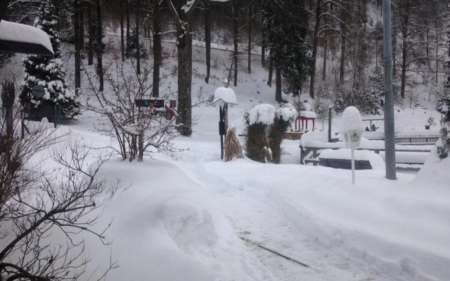 Pension & Apartments Am Bergsee