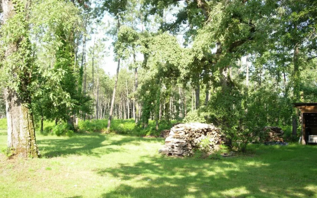Domaine de Grand Lestrat