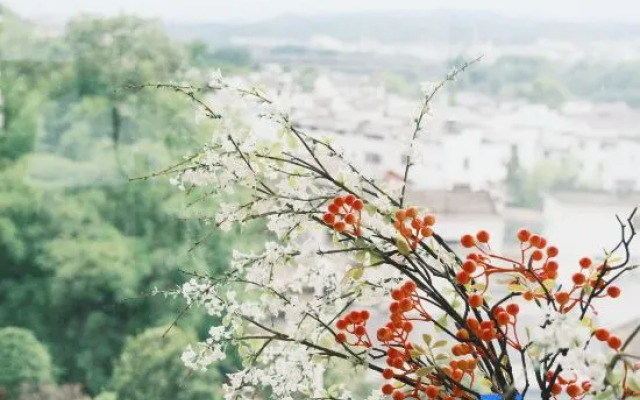 Yaliang Flower and Bird Collection Bed and Breakfast