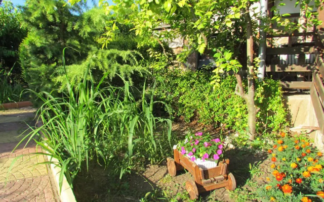 Guest House Dvata Bora