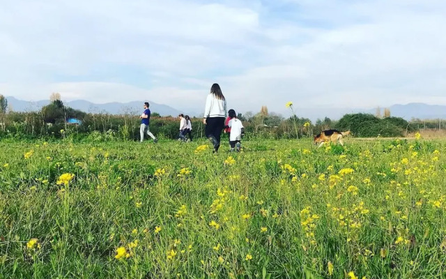 Casa Rural Curico