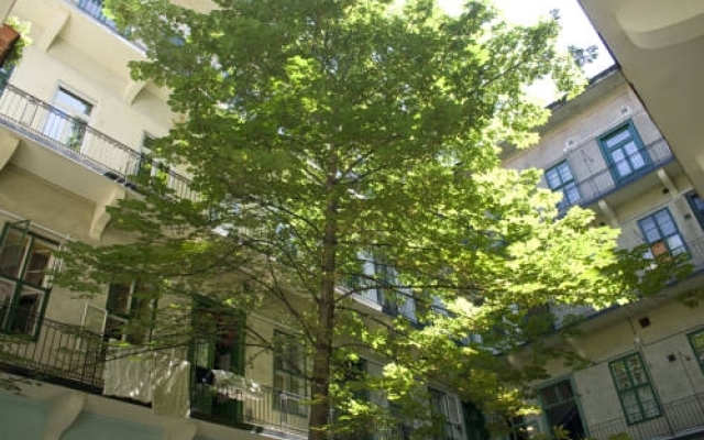 Отель Budapest Easy Flat Венгрия, Будапешт - отзывы, цены и фото номеров - забронировать отель Budapest Easy Flat онлайн