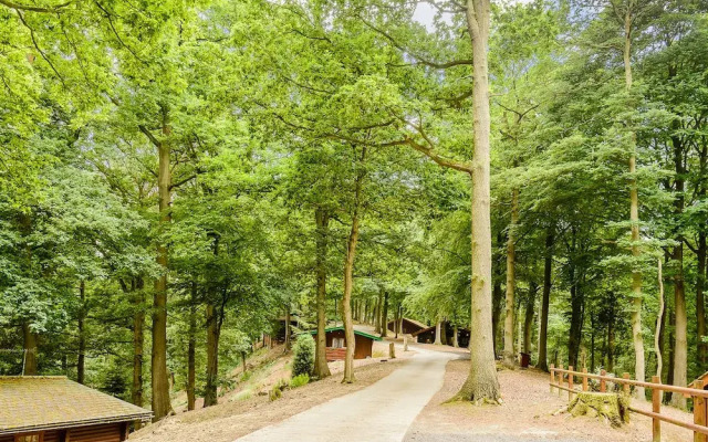 Hollies Lodge