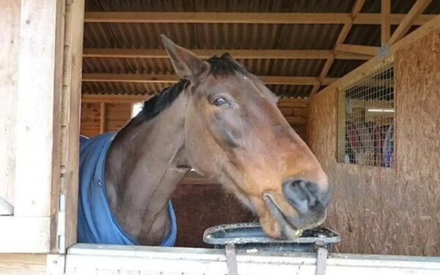 Folly Foot Barn