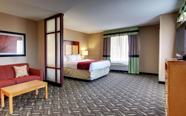 Comfort Suites Flowood - Jackson Airport (must meet transportation requirement)